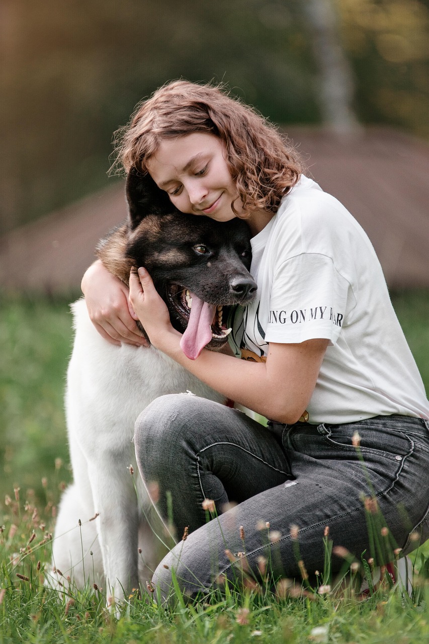 dog, girl, love, pet, owner, companion, friends, friendship, happy, animal, akita, nature, portrait, pet owner